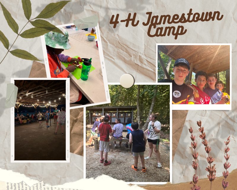 Campers and teens engaging each other through conversation during outdoor time in Jamestown's "Large Pavilion" location. Photos taken before March 2021.